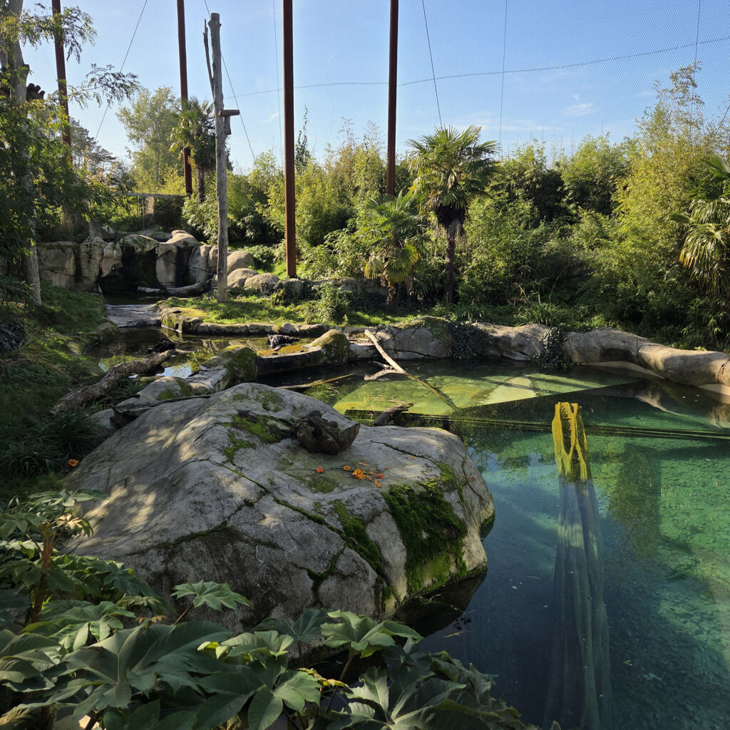 Agence paysagiste Vé Paysages - Parrot World